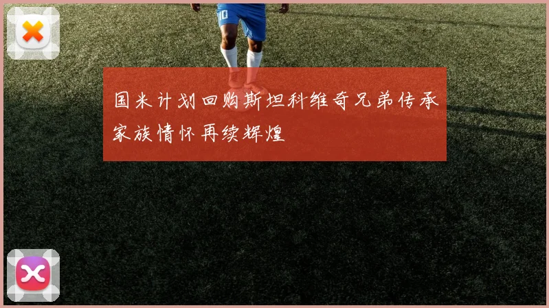 国米计划回购斯坦科维奇兄弟传承家族情怀再续辉煌